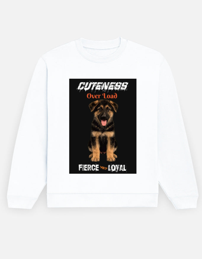 Front_1_c_1.jpg